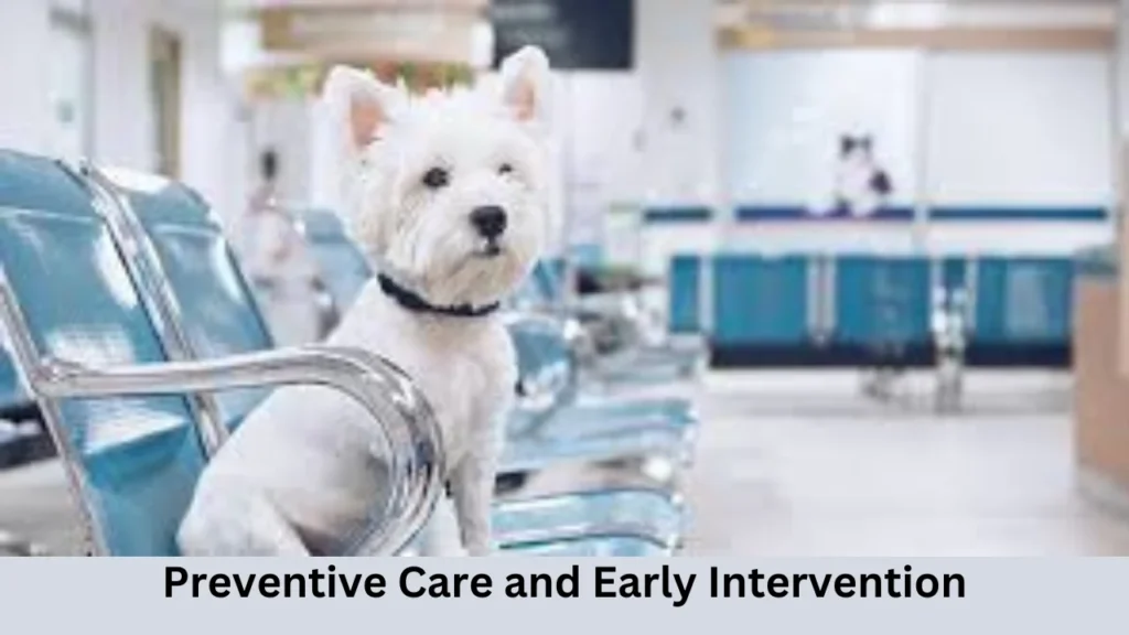 ветеринарная клиника vetcitypets Preventive Care and Early Intervention