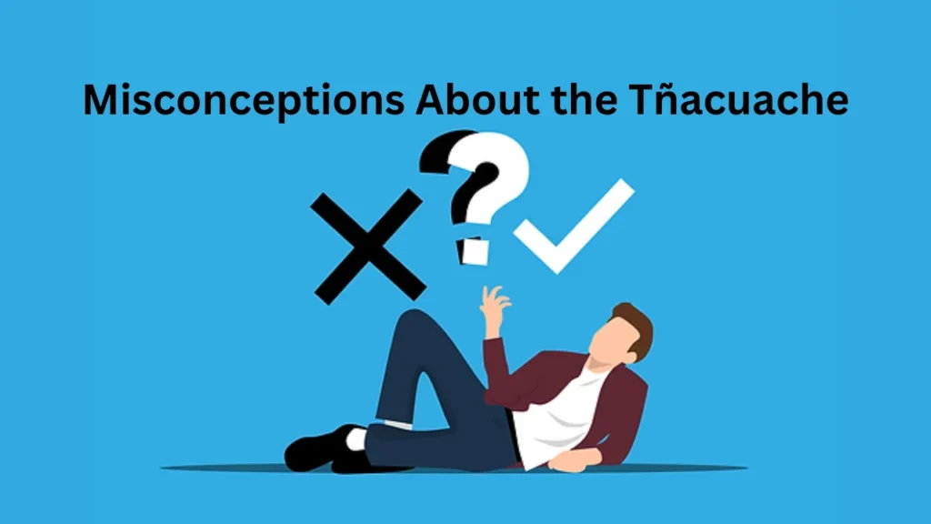 tñacuache Misconceptions About the Tñacuache