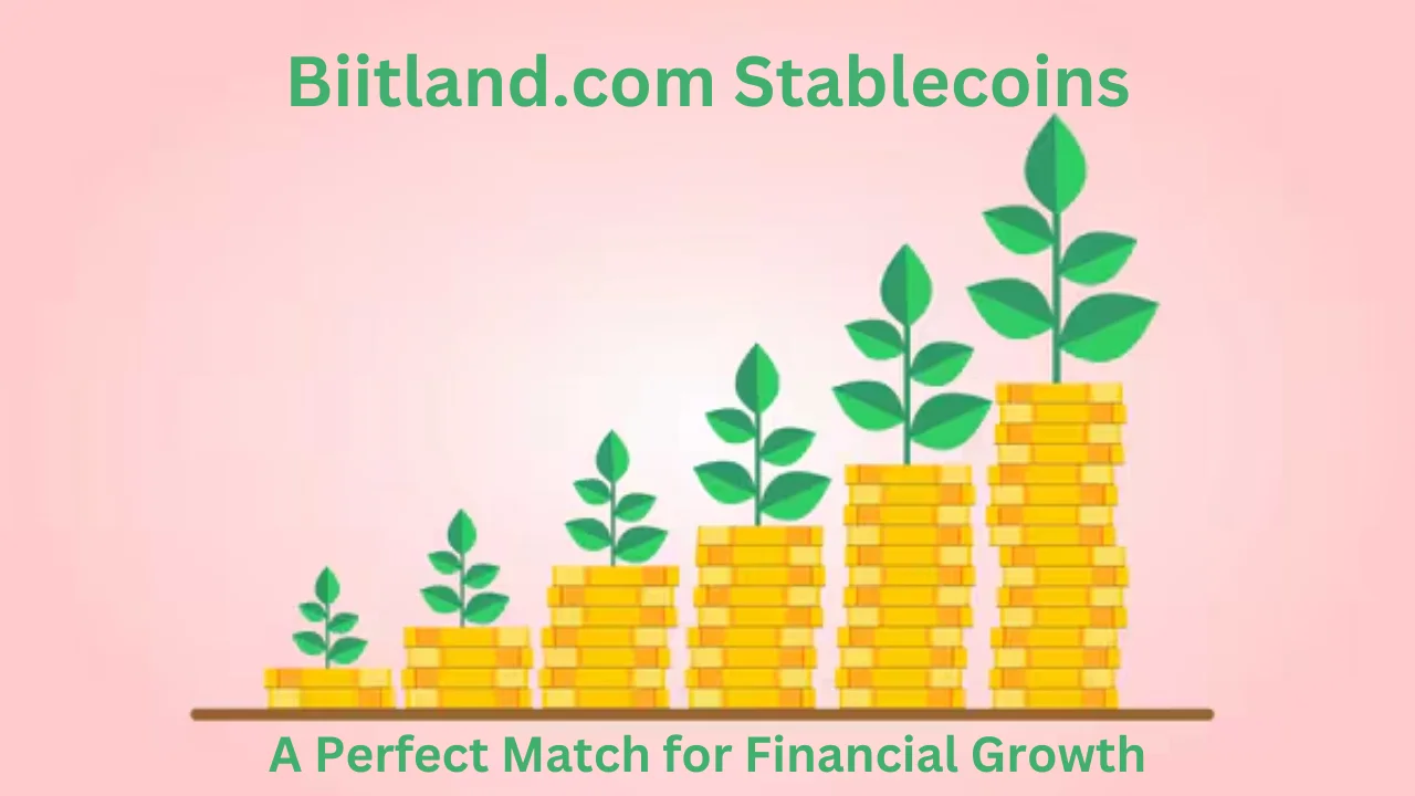 biitland.com stablecoins